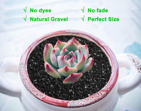 Boniosz gravel is ideal for DIY terrariums and crafts.