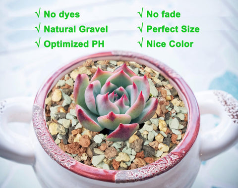 Boniosz gritty mix with green zeolite stabilizes pH and nutrient availability for better growth.