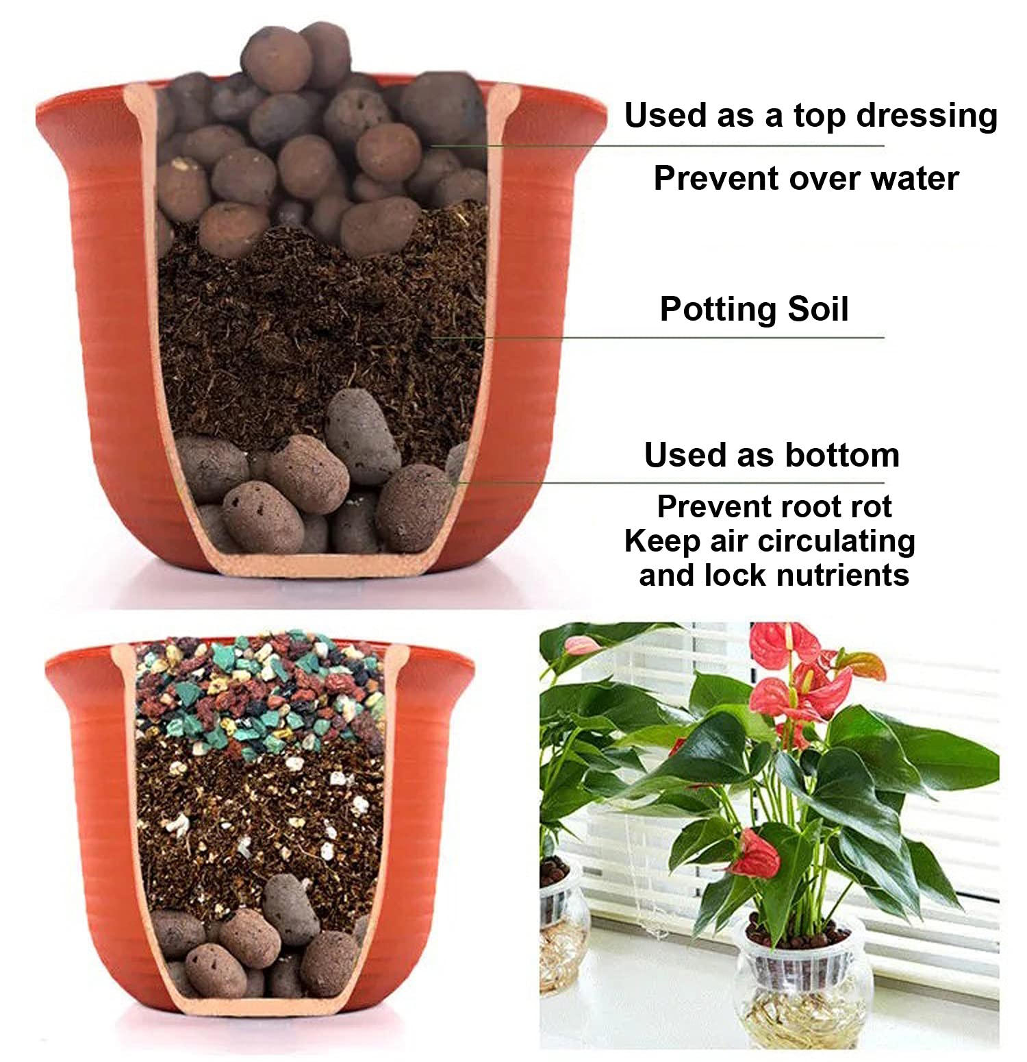 Boniosz Leca pebbles support aquaculture and orchid plant systems