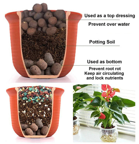 Boniosz Leca pebbles support aquaculture and orchid plant systems