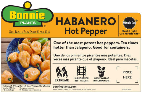 Banana peppers fruit slices, perfect for sandwiches and preserves