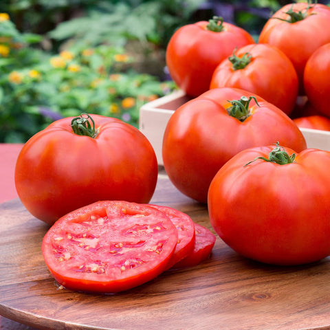 Better Boy tomato large smooth-fruit; ideal for slicing and fresh salads.