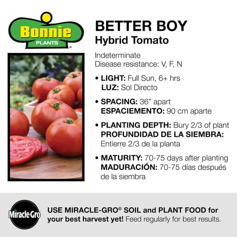 Tomato plug adds fresh texture to salads and sandwiches