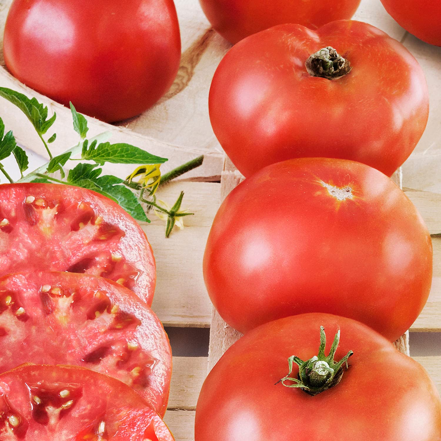 Bonnie Plants Big Boy tomato ripe fruit on vine, ideal for slicing