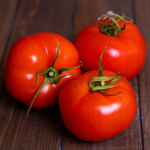 Bonnie Original tomato on the vine with evenly sized 6–8 oz fruit forming.