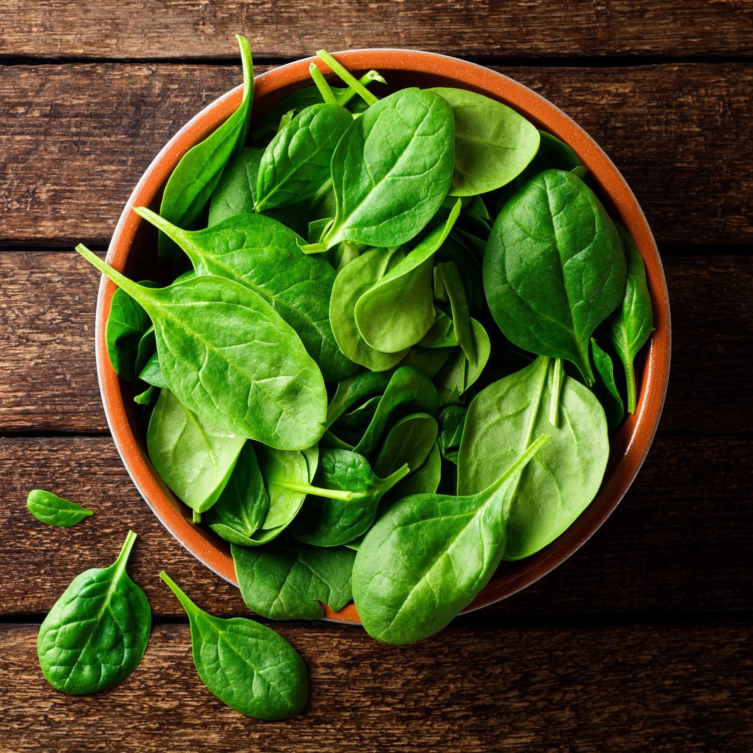 Bonnie Plants spinach leaves closeup showing large triangular leaves for fresh salads.