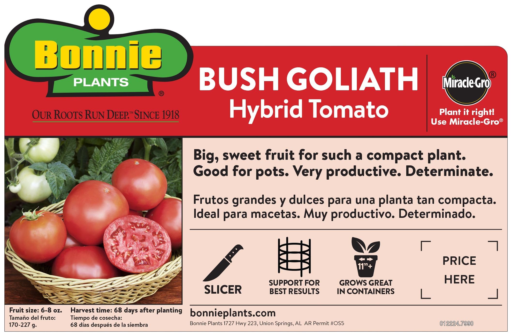 Bonnie Plants Bush Goliath produces large 3–4 inch fruits for salads.