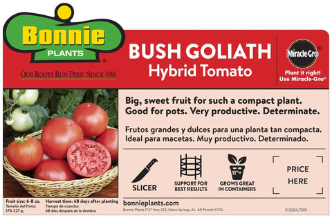 Bonnie Plants Bush Goliath produces large 3–4 inch fruits for salads.