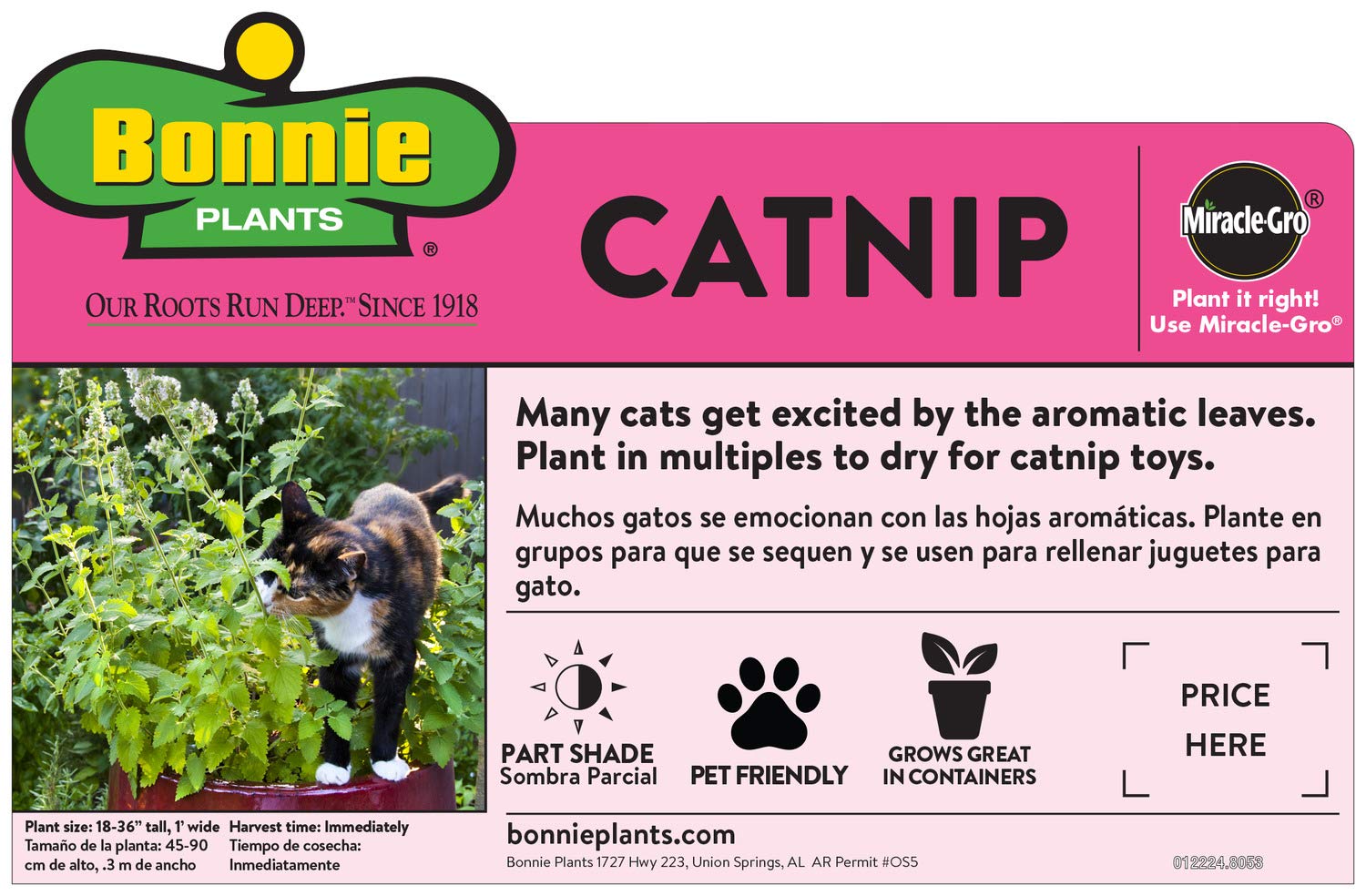 Bonnie Plants Catnip close-up showing cat appeal and nibble-friendly herb.