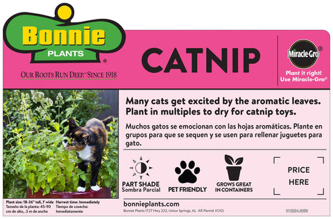 Bonnie Plants Catnip close-up showing cat appeal and nibble-friendly herb.