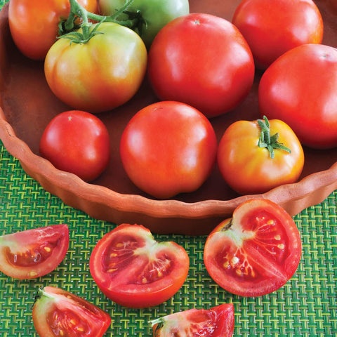 Bonnie Plants container garden tomato with healthy foliage for balconies