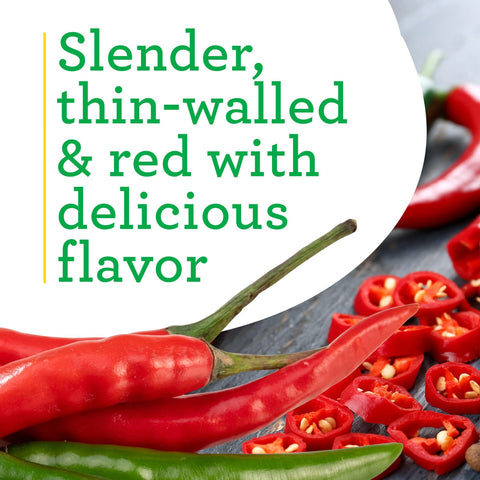 Bonnie Plants Hot Cayenne pepper harvest, high-yield peppers for sauces and infusions.