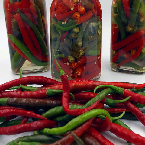 Bonnie Plants Hot Cayenne peppers on stem, showcasing bright red fruits for fresh heat.