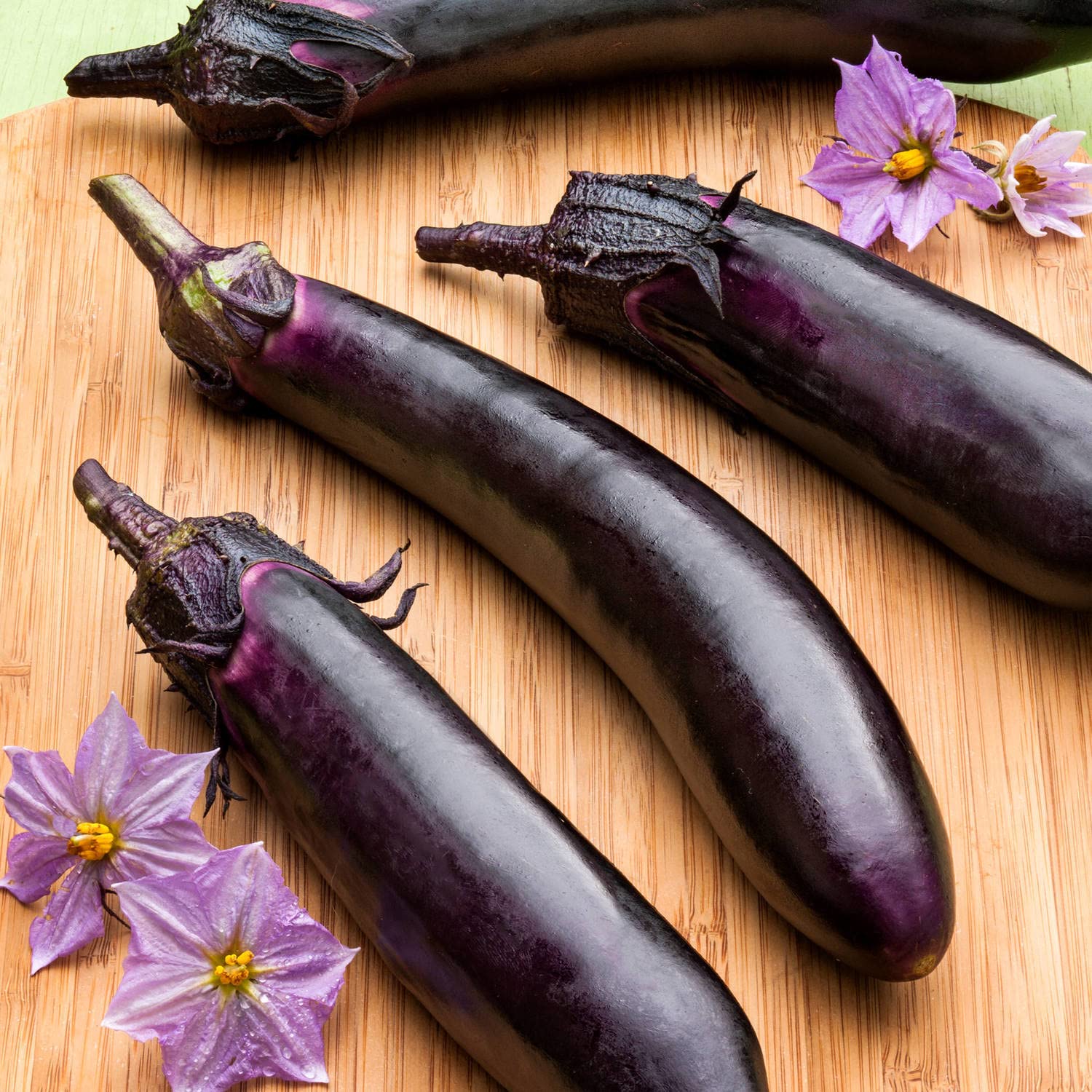 Bonnie Plants Ichiban eggplant dark-purple skin showcases glossy fruit ready for cooking.