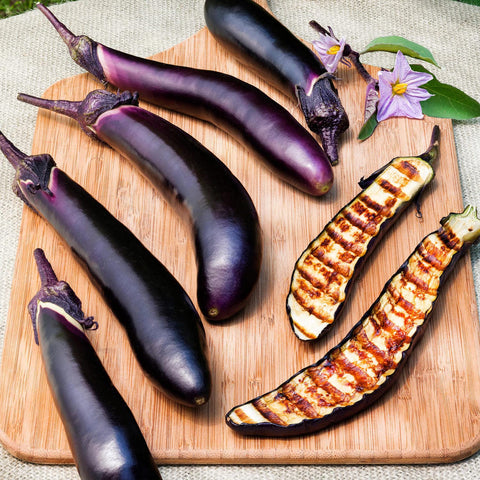 Bonnie Plants Ichiban eggplant thin-skin closeup emphasizes tender flesh.