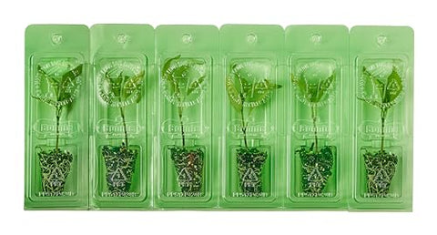 Bonnie Plants Jalapeño pepper plug, young plant ideal for fast-start in containers