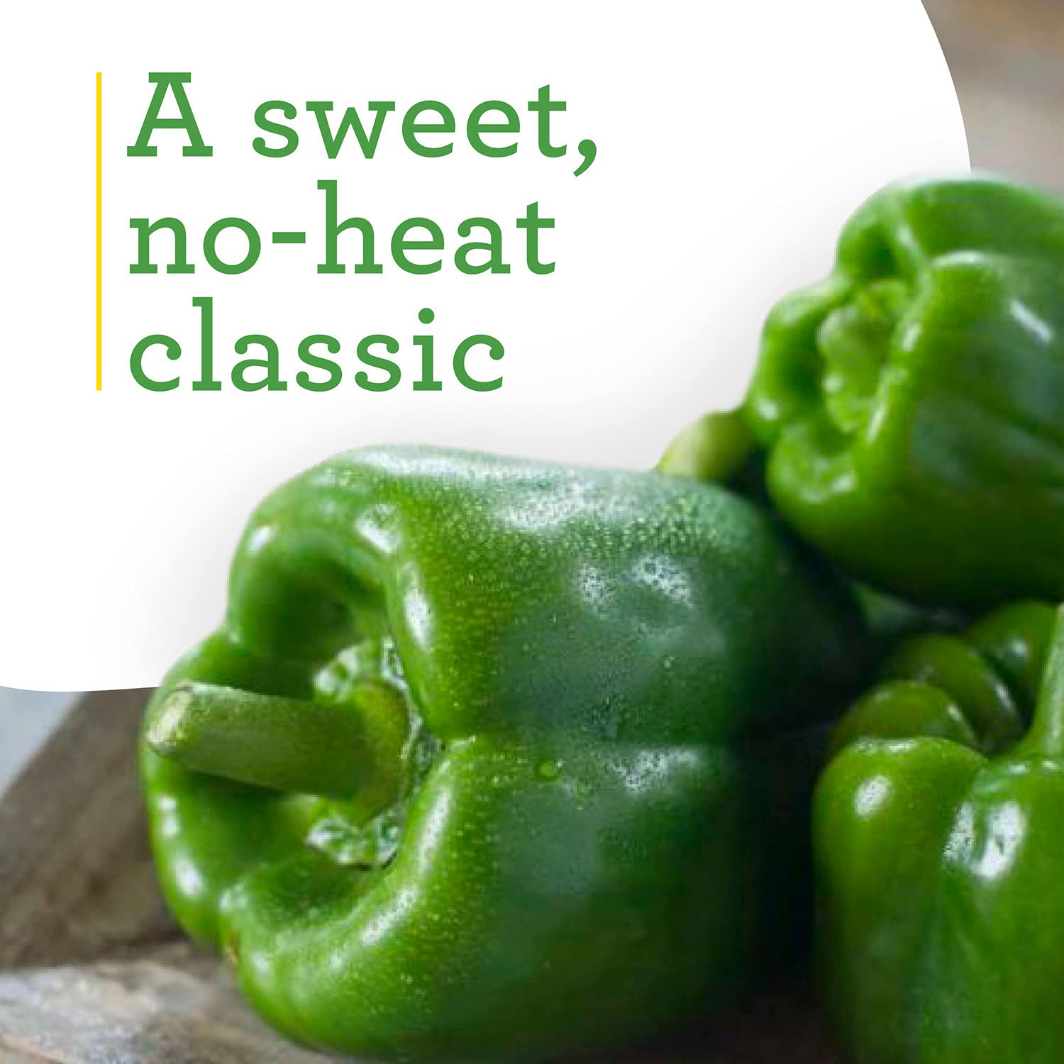 Bonnie Plants large green peppers form on vines for slicing.