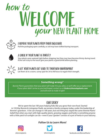 Bonnie Plants Live herbs ready to transplant into your garden.