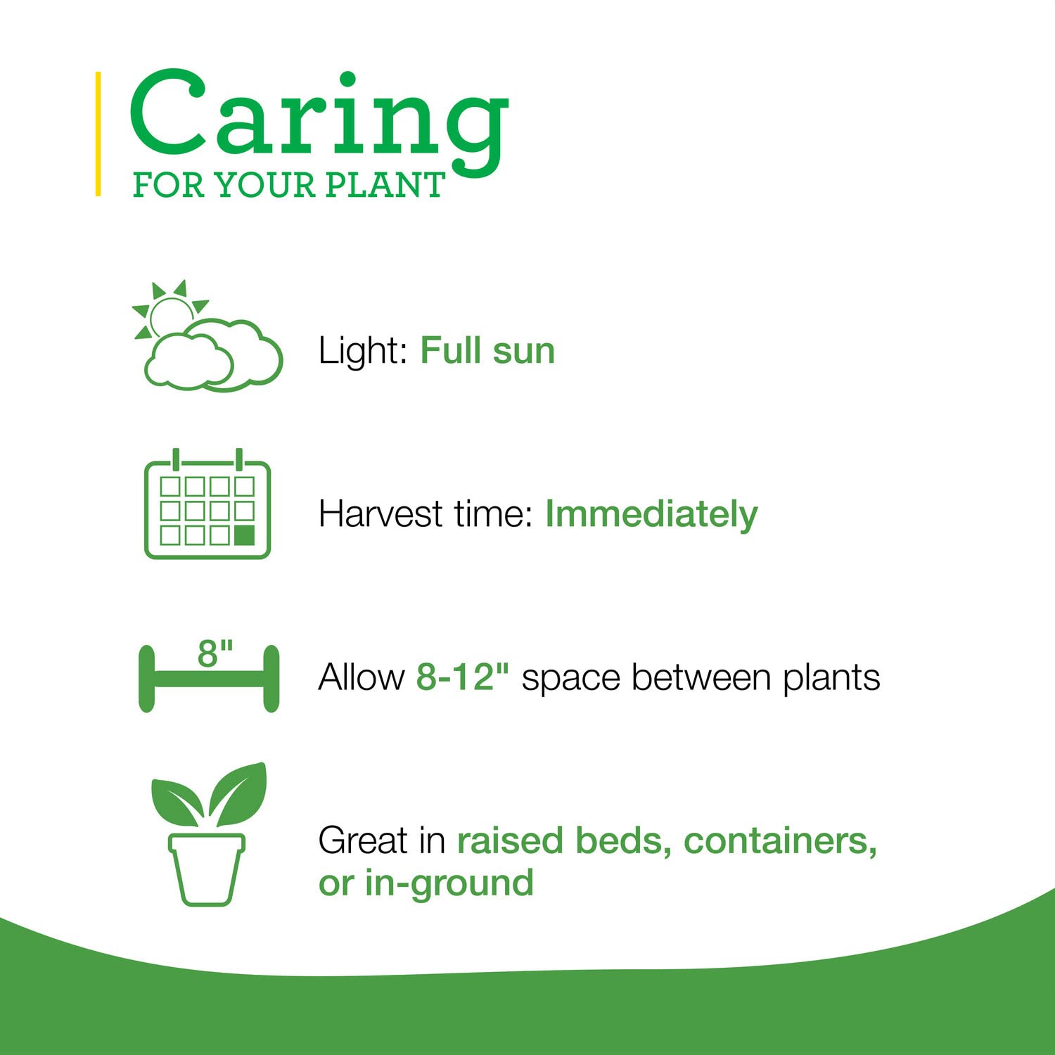 Bonnie Plants onion chives thrive in pots, ideal for small-space containers