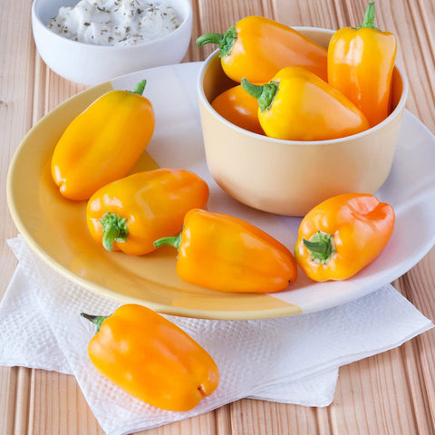 Bonnie Plants Orange Snacking Pepper close-up slices, perfect for salads and stir-fries