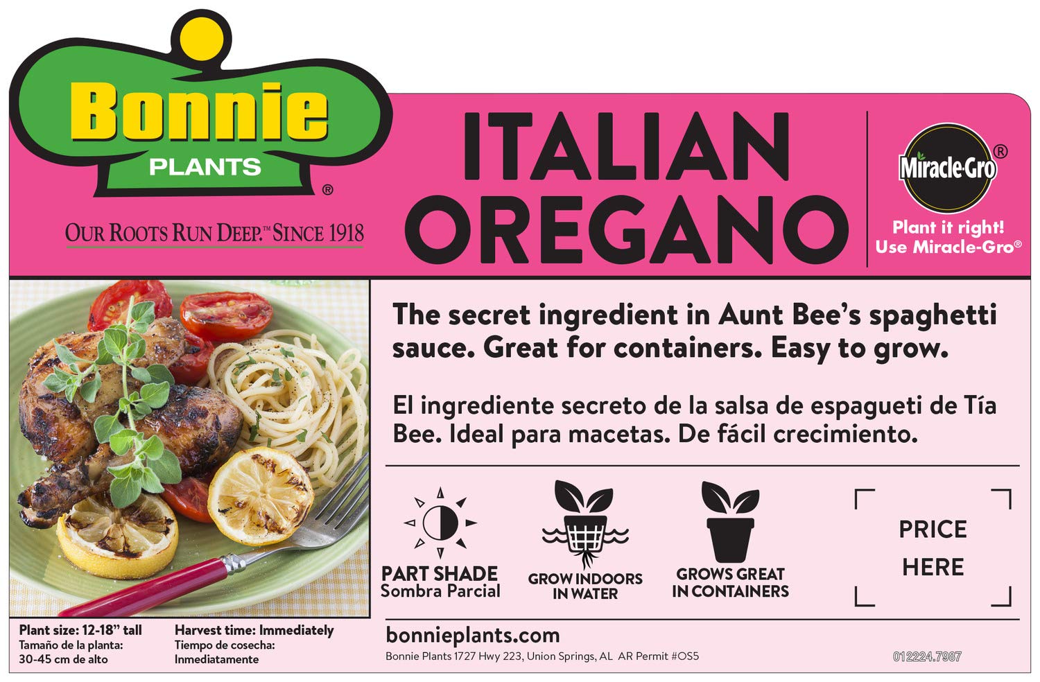 Bonnie Plants Oregano bush with fragrant leaves for savory meals.