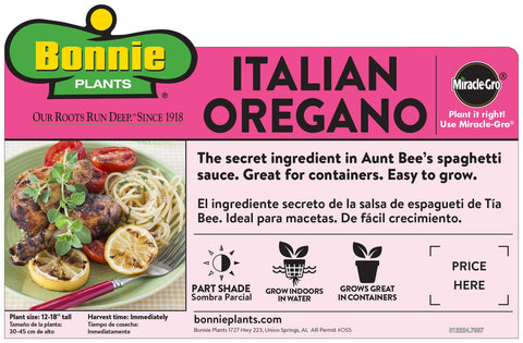 Bonnie Plants Oregano bush with fragrant leaves for savory meals.