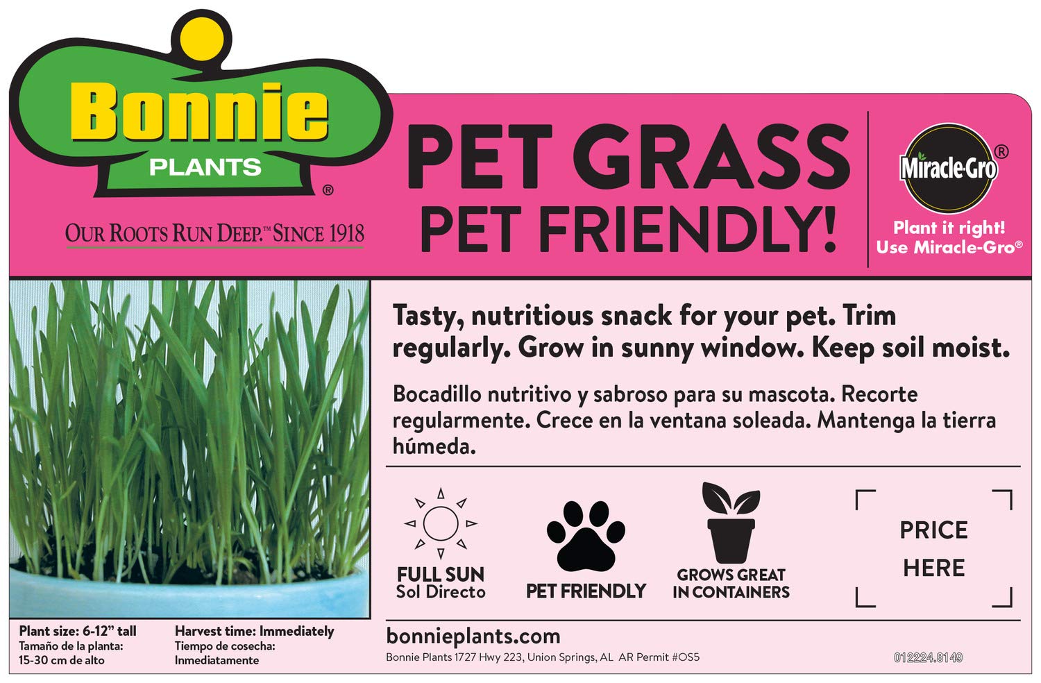 Bonnie Plants Pet Grass lush blades ideal for pets and indoor grazing.