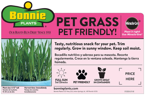 Bonnie Plants Pet Grass lush blades ideal for pets and indoor grazing.