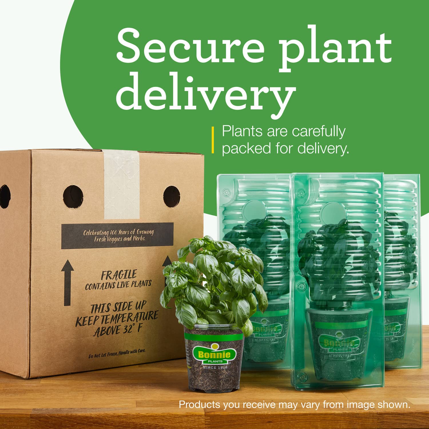 4-pack Bonnie Plants ready for quick garden start