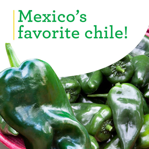 Harvest-ready peppers from Bonnie Plants ideal for stuffing or salsas