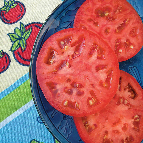 Bonnie Plants Red Beefsteak tomato four-pack tray ready for transplant
