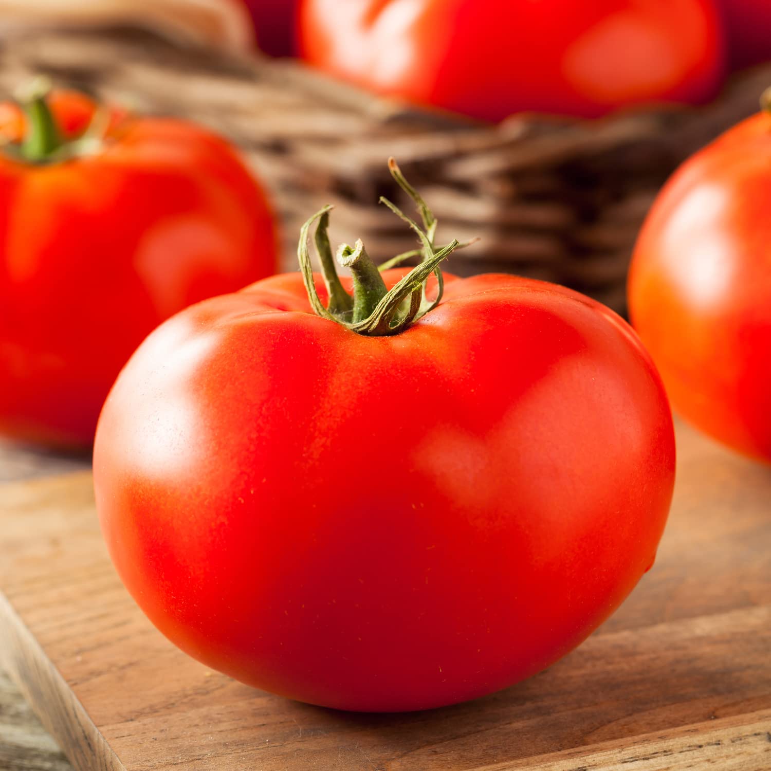 Bonnie Plants Red Beefsteak tomato plant on trellis with sturdy support