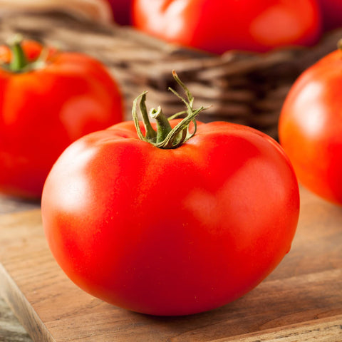 Bonnie Plants Red Beefsteak tomato plant on trellis with sturdy support