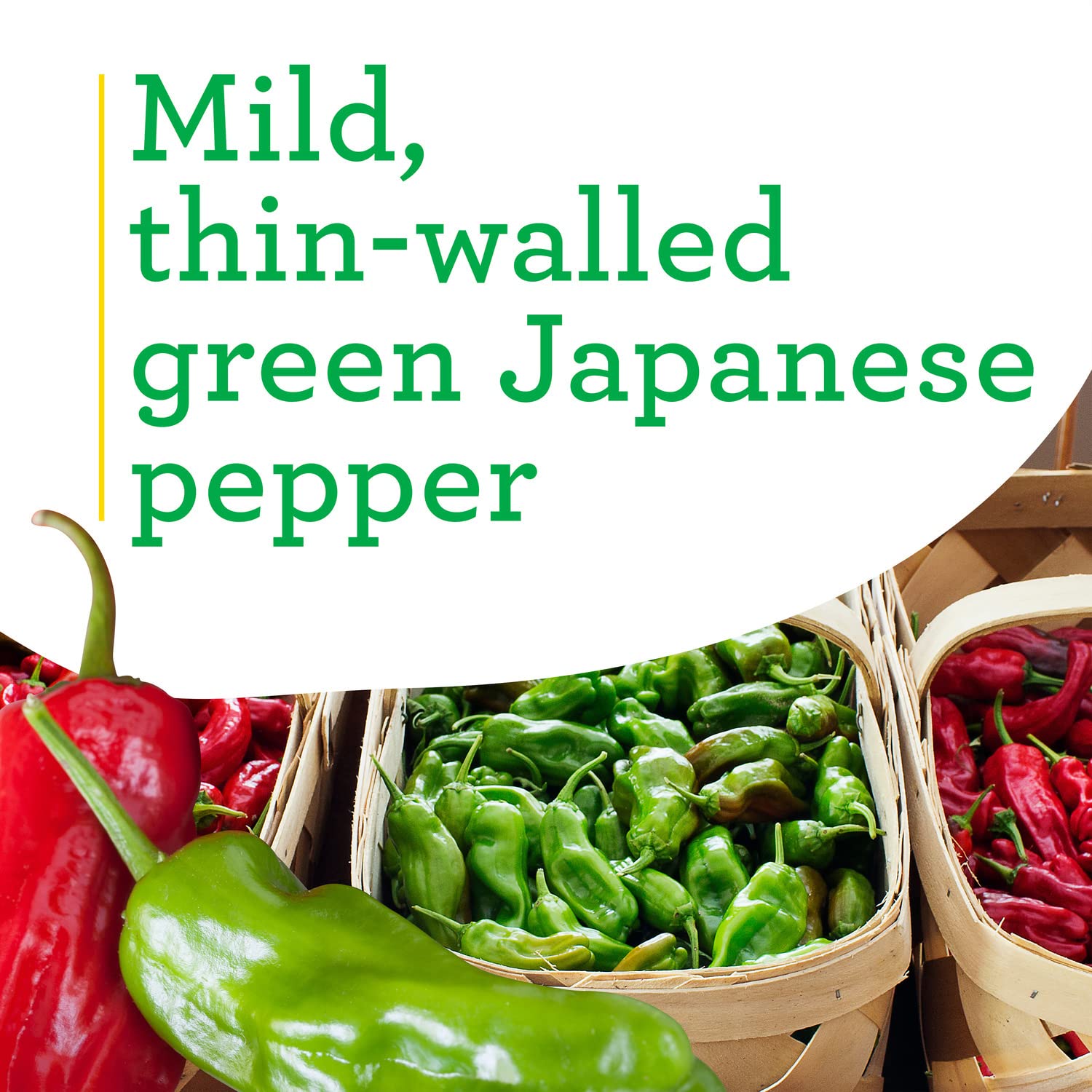 Bonnie Plants Shishito Pepper red fruits adding color and sweetness.