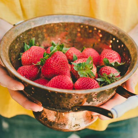 Bonnie Plants strawberry berries ripening on plant ideal for fresh picking.