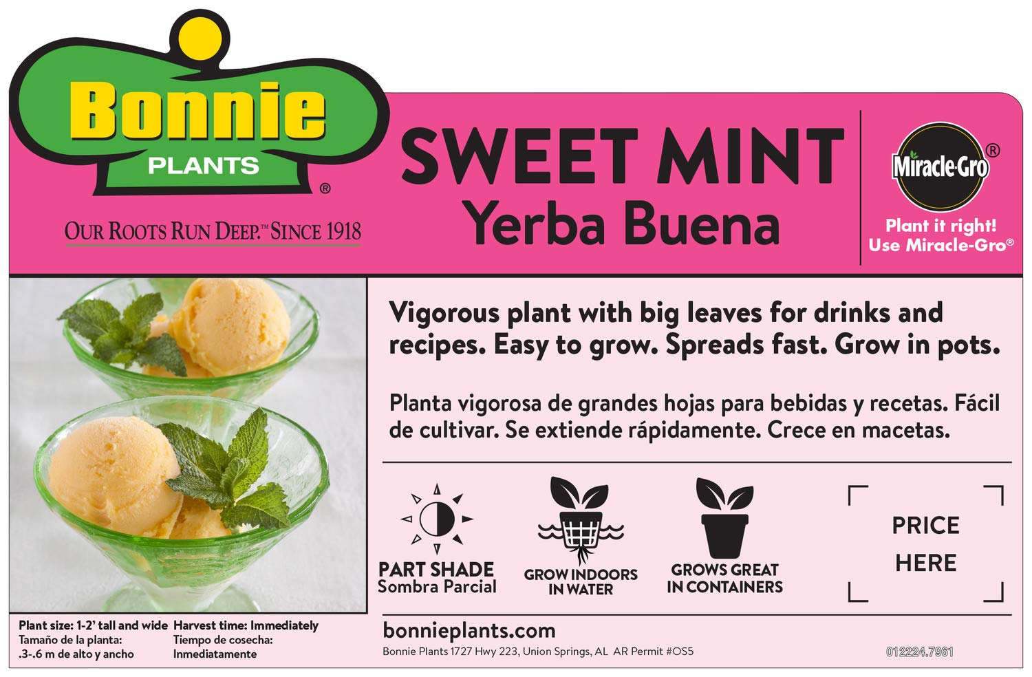 Bonnie Plants Sweet Mint leaves with fresh aroma and breath-friendly possibilities.