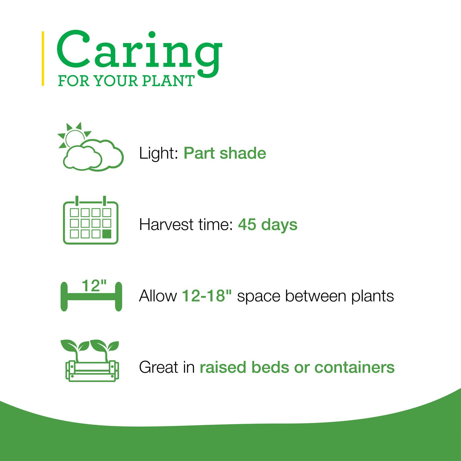 Bonnie Plants Swiss Chard is frost-tolerant for longer growing windows.