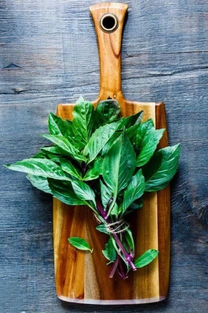 Bonnie Plants Thai Basil with purple stems close-up, ideal garnish and fresh herb for curries.