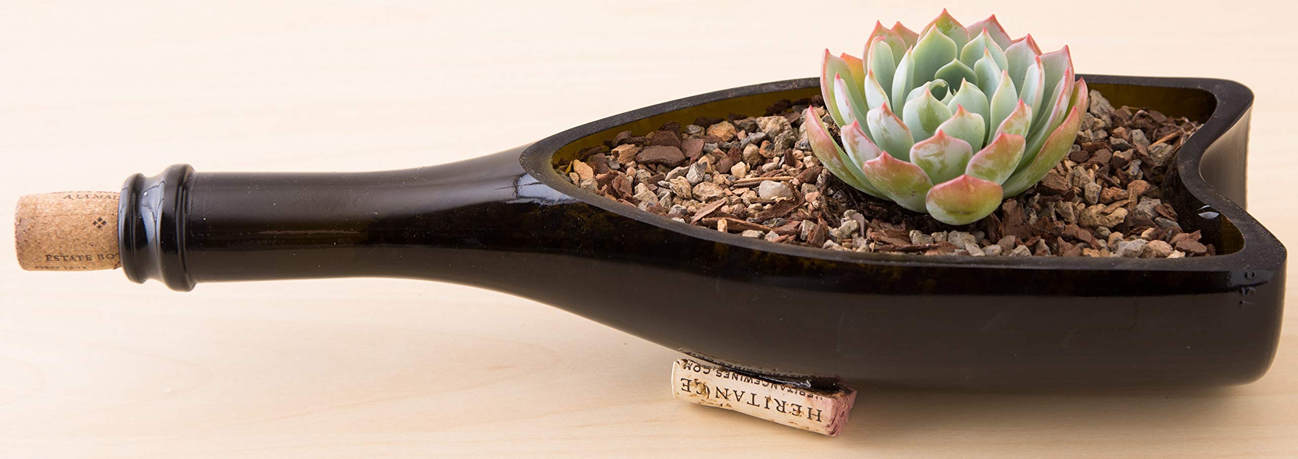Bonsai Jack Jacks Gritty Mix pH-optimized blend creates ideal rooting environment.