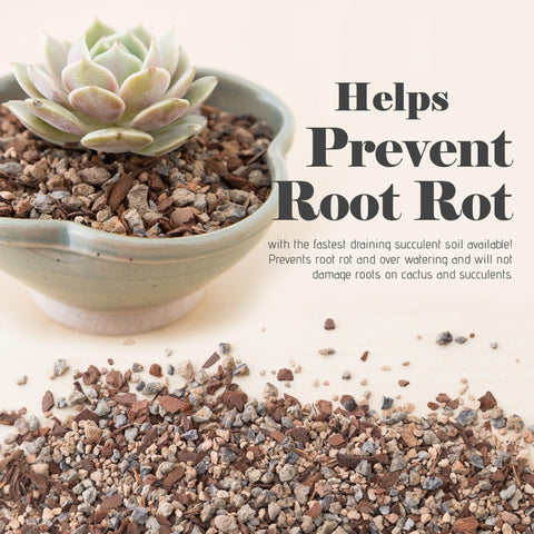 Bonsai Jack Jacks Gritty Mix texture closeup highlights airy particles improving drainage.