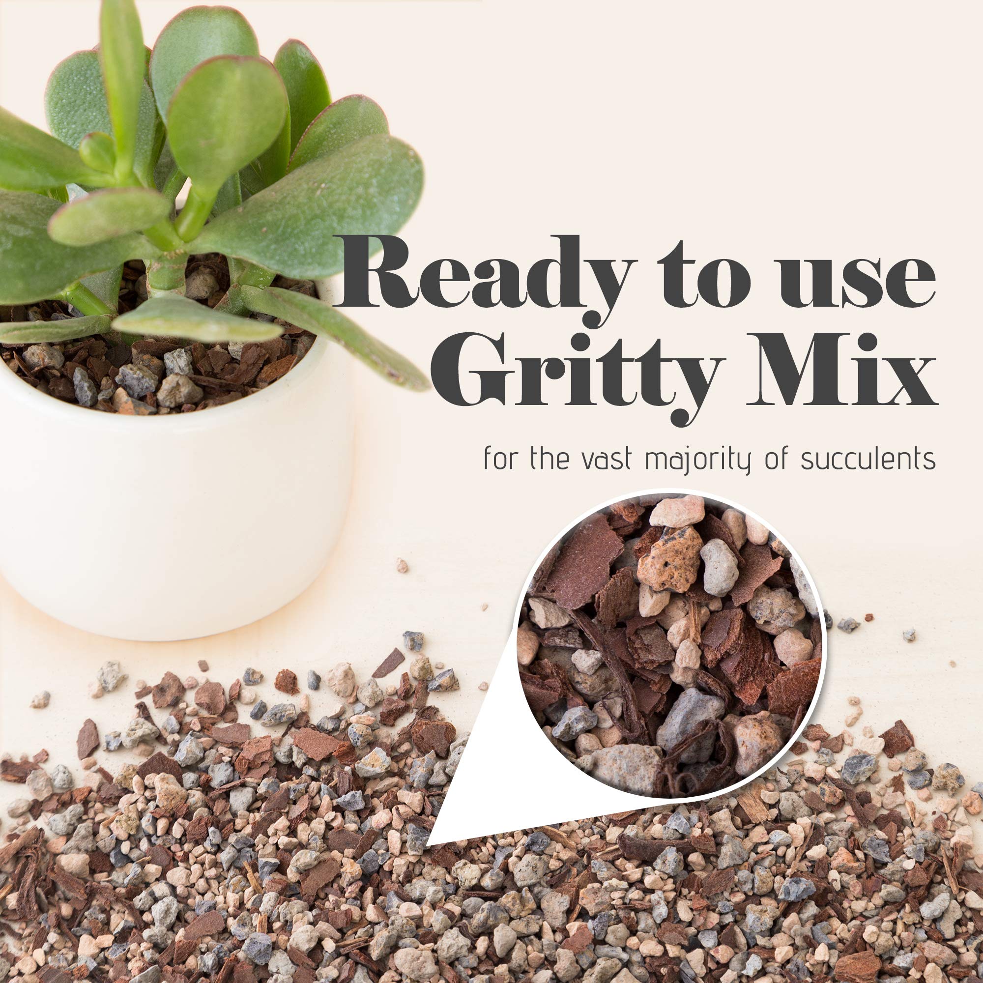 Bonsai Jack Jacks Gritty Mix used with succulents shows better water management.
