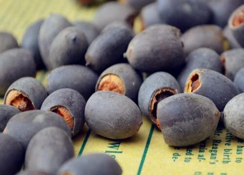 Bonsai Lotus Seeds water temperature tips maintain 20-30°C for growth.