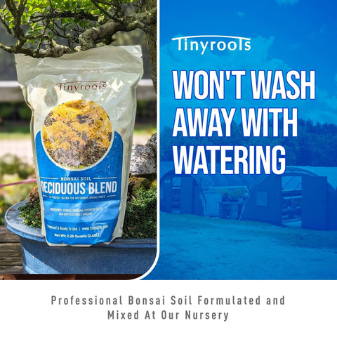 Bonsai Outlet 2-quart bag label visible, convenient size for home bonsai care.