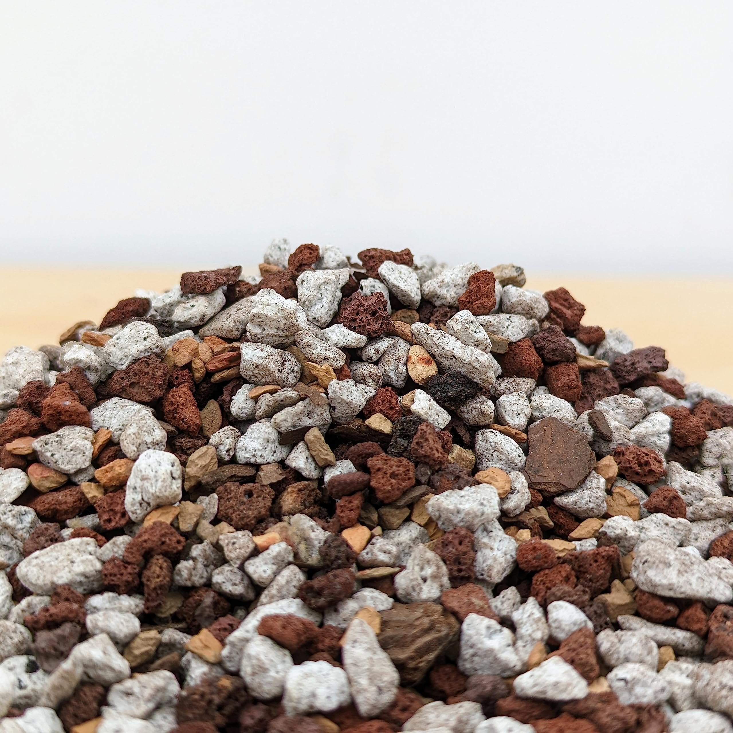 Bonsai Outlet tropical bonsai soil in pot promoting healthy growth.