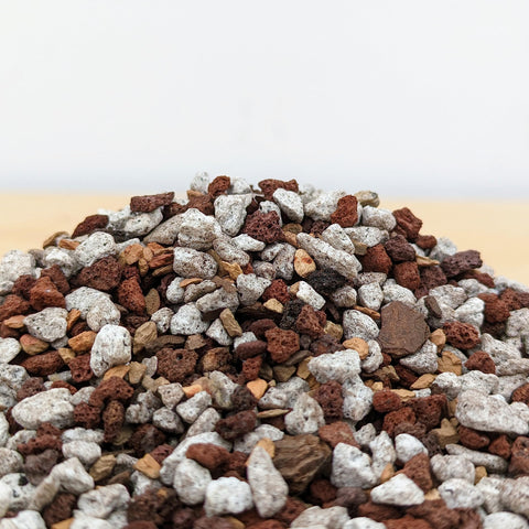 Bonsai Outlet tropical bonsai soil in pot promoting healthy growth.