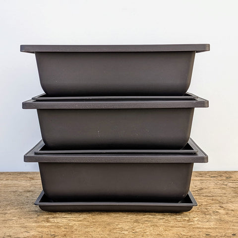 Bonsai Outlet brown 8-inch pot with integrated mesh for soil containment.