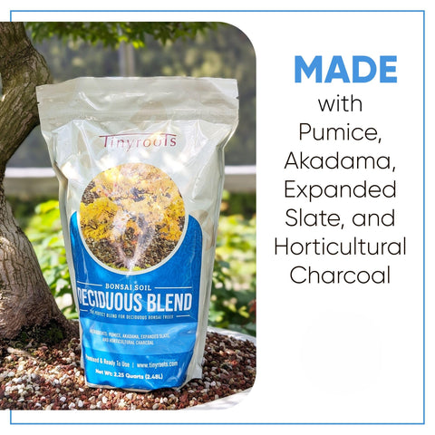 Bonsai Outlet moisture-retention detail suggests steady watering and healthier transpiration.