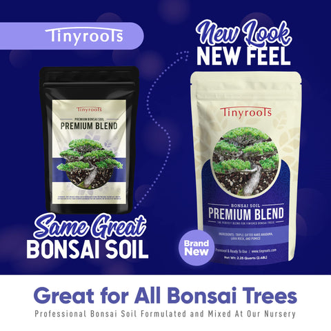 Soil blend supports root development and balanced moisture for healthier bonsai growth