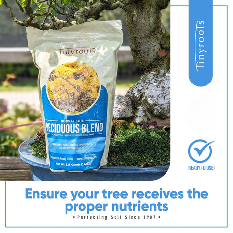 Bonsai Outlet root-friendly mix supports healthy rooting during repotting.