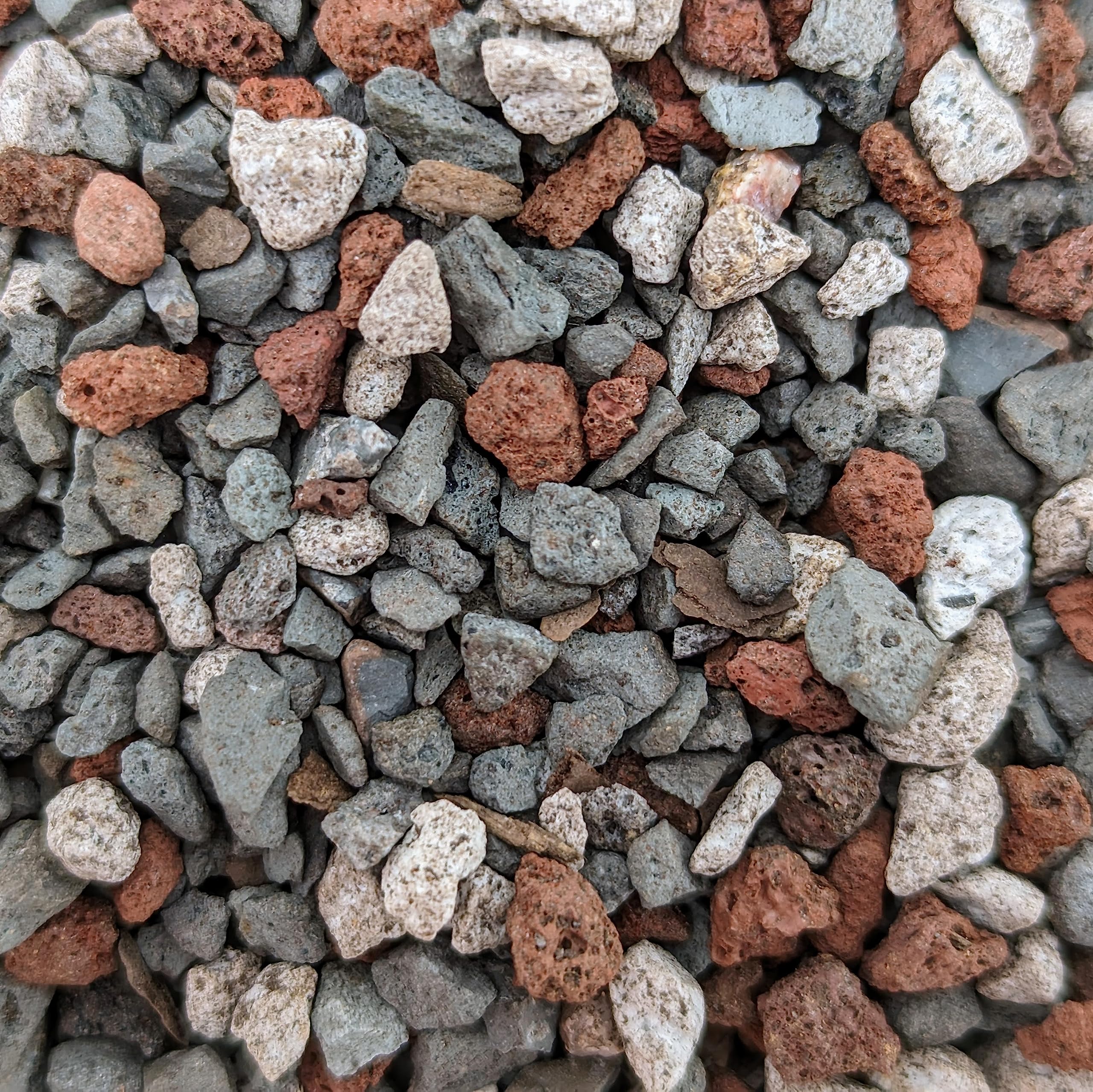 Bonsai Outlet Tinyroots 2.5 gallon bag ready for all bonsai varieties